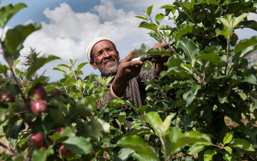 (c) Christoph Püschner / Zeitenspiegel